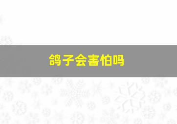 鸽子会害怕吗