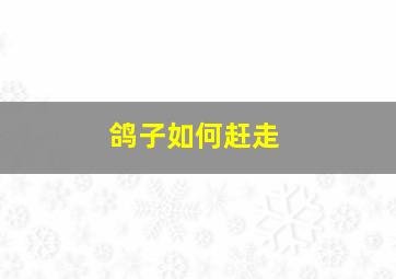 鸽子如何赶走