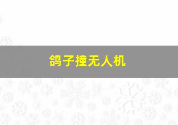 鸽子撞无人机