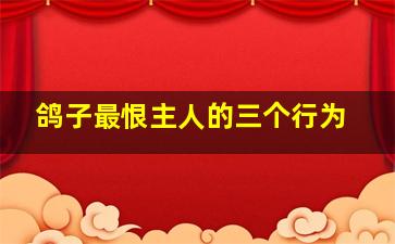 鸽子最恨主人的三个行为