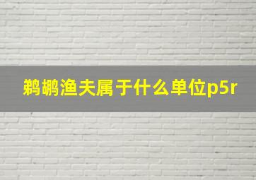 鹈鹕渔夫属于什么单位p5r