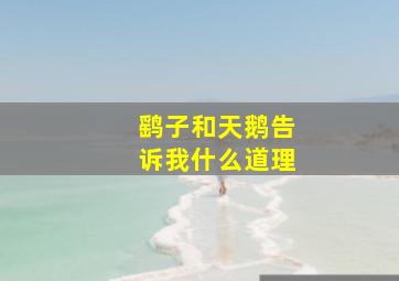 鹞子和天鹅告诉我什么道理