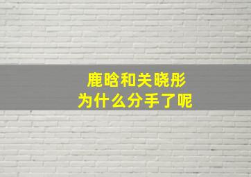 鹿晗和关晓彤为什么分手了呢