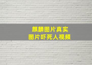 麒麟图片真实图片吓死人视频