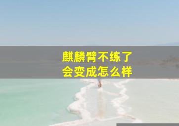 麒麟臂不练了会变成怎么样