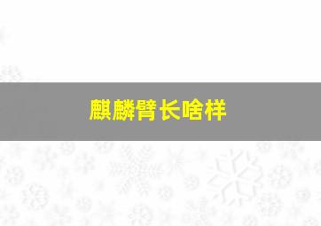 麒麟臂长啥样