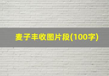 麦子丰收图片段(100字)