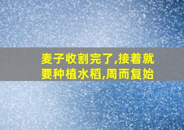 麦子收割完了,接着就要种植水稻,周而复始