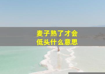 麦子熟了才会低头什么意思