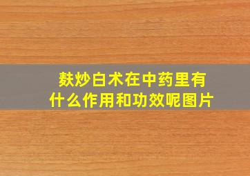 麸炒白术在中药里有什么作用和功效呢图片