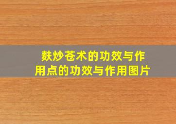 麸炒苍术的功效与作用点的功效与作用图片