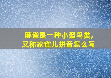 麻雀是一种小型鸟类,又称家雀儿拼音怎么写