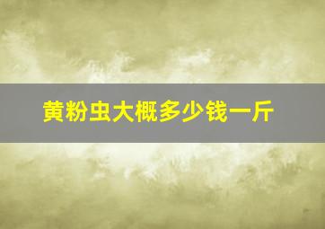 黄粉虫大概多少钱一斤