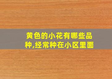 黄色的小花有哪些品种,经常种在小区里面