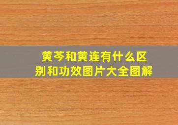 黄芩和黄连有什么区别和功效图片大全图解