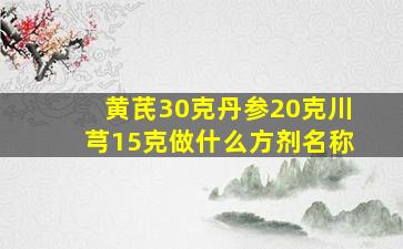 黄芪30克丹参20克川芎15克做什么方剂名称