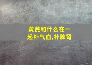 黄芪和什么在一起补气血,补脾肾