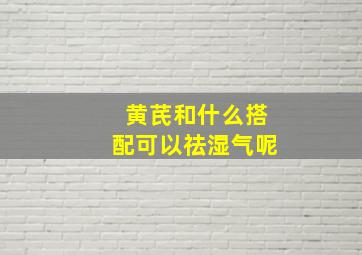 黄芪和什么搭配可以祛湿气呢