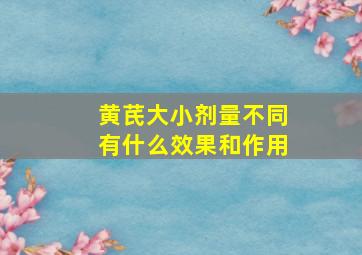 黄芪大小剂量不同有什么效果和作用