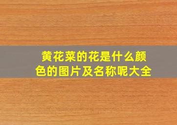 黄花菜的花是什么颜色的图片及名称呢大全