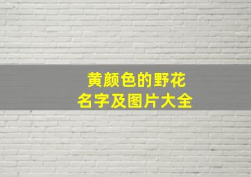 黄颜色的野花名字及图片大全