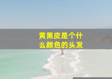 黄黑皮是个什么颜色的头发