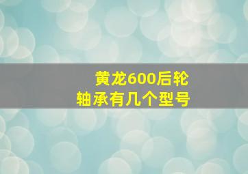 黄龙600后轮轴承有几个型号