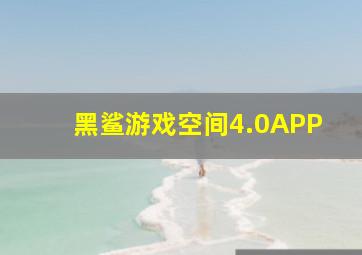 黑鲨游戏空间4.0APP