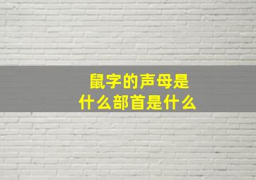 鼠字的声母是什么部首是什么