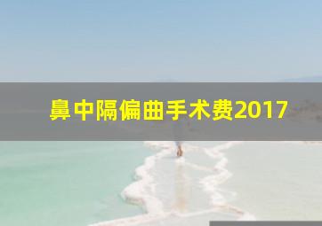 鼻中隔偏曲手术费2017