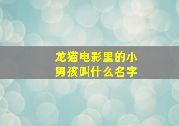 龙猫电影里的小男孩叫什么名字