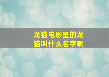 龙猫电影里的龙猫叫什么名字啊