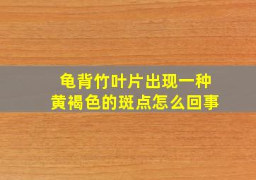 龟背竹叶片出现一种黄褐色的斑点怎么回事