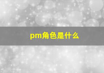 pm角色是什么