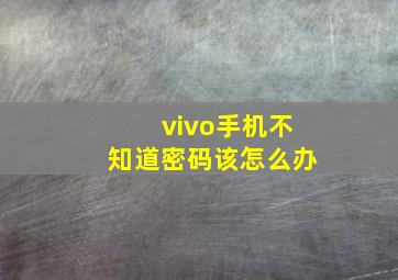 vivo手机不知道密码该怎么办