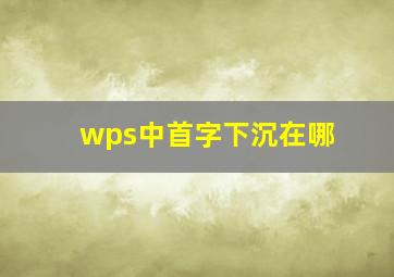 wps中首字下沉在哪