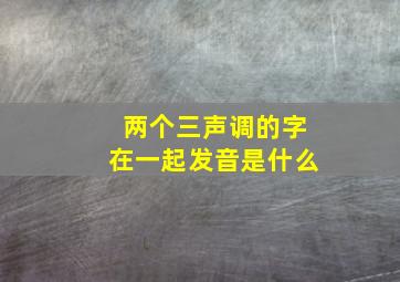 两个三声调的字在一起发音是什么