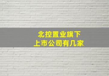 北控置业旗下上市公司有几家