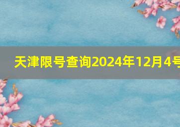 天津限号查询2024年12月4号