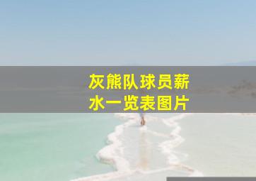 灰熊队球员薪水一览表图片