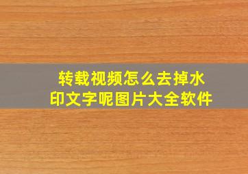 转载视频怎么去掉水印文字呢图片大全软件