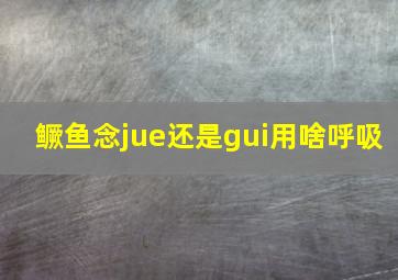 鳜鱼念jue还是gui用啥呼吸